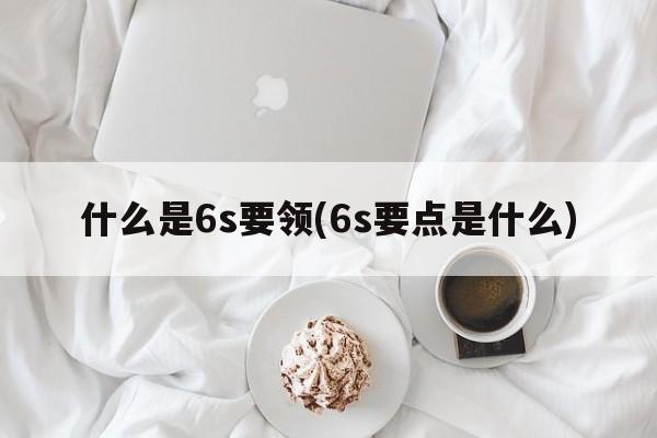 什么是6s要领(6s要点是什么)